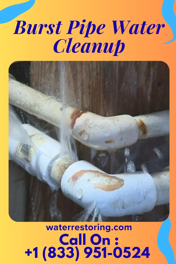 Burst Pipe Water Cleanup in Broxton, GA